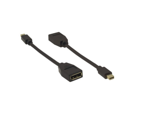 Kramer ADC-MDP-DPF Mini DisplayPort (M)  to DisplayPort (F) Adapter Cable