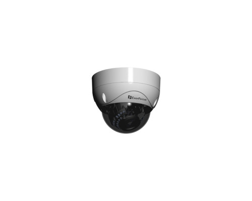 EverFocus EHH5241 1080p Analog Outdoor IR Vandal Dome Camera, 3-9mm Lens