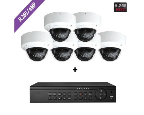 Cantek-Plus CTPK-NH41V6-4T IP Camera System w/(6) Dome Cameras 4TB