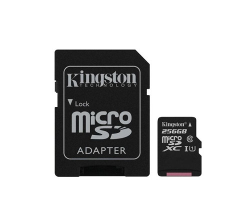 RVS Systems RVS-KS256 Kingston 256GB Micro SD Card