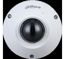 Dahua N55CS5 5 Megapixel 360° Panoramic Fisheye Network Camera Outdoor with 1.4mm Lens