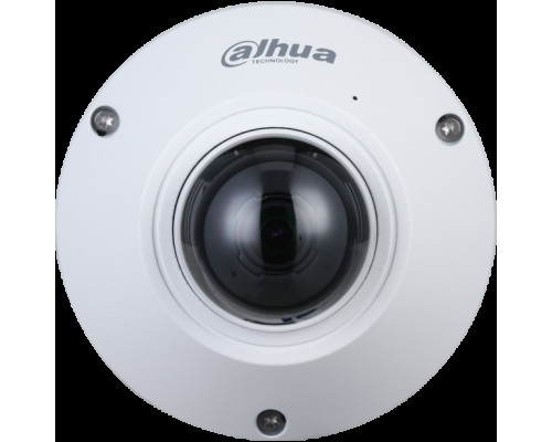 Dahua N55CS5 5 Megapixel 360° Panoramic Fisheye Network Camera Outdoor with 1.4mm Lens