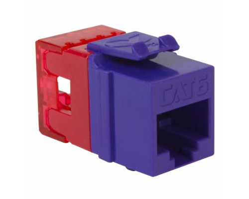 ICC IC107F6CPR CAT 6 HD Modular Connector, Purple, 25 Pack