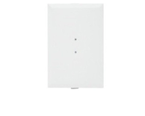 Linear PAS04600 CPW-600, One Pair of White Cover Plates