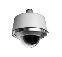 Pelco SD429-PRE1-X Indoor/Outdoor Grey Clear Analog Dome Camera, 29X Lens