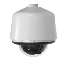 Pelco SD429-PSGE1-X Indoor/Outdoor Clear Analog Dome Camera, 29X Lens, PAL