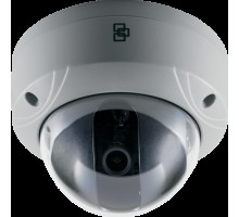 Interlogix TVD-3101 TruVision 1.3Mp Indoor D/N Network Mini Dome