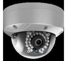 Interlogix TVD-3105 1.3Mp Outdoor IR Network Mini Dome