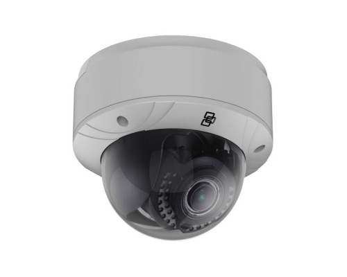 Interlogix TVD-5401 TruVision 2 MP Low Light IP Mini Dome Camera