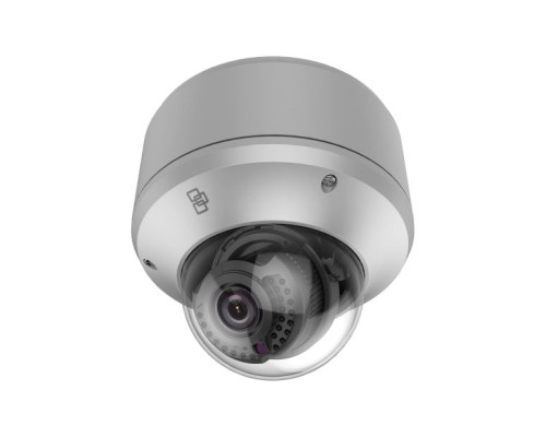 Interlogix TVD-5404 TruVision 2 MP Low Light IP Outdoor Dome Camera