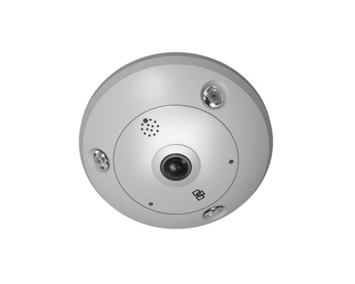 Interlogix TVF-1101 TruVision 360/180 Degree IP Dome Camera