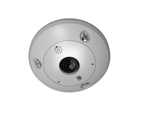 Interlogix TVF-1102 TruVision 360/180 Degree IP Dome Camera