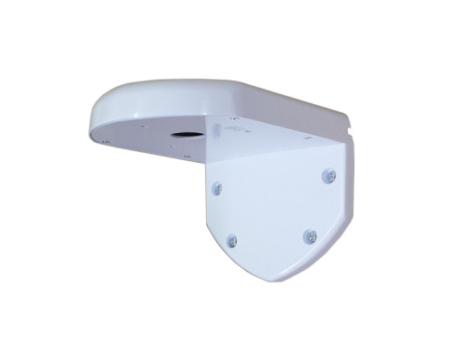 Ganz WML-1 Outdoor Wall Mount Bracket