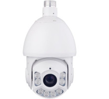 Ganz ZN8-P5NTAF61L 3 Megapixel Network IR Outdoor PTZ Camera, 30x Lens