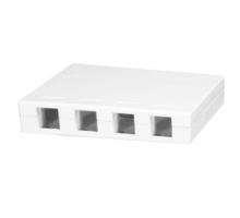 4-Port Surface Mount Box